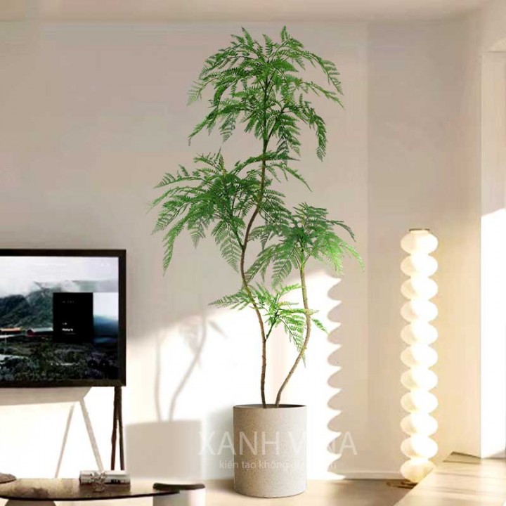 Cây lá me giả đẹp như thật – Trang trí  sang trọng